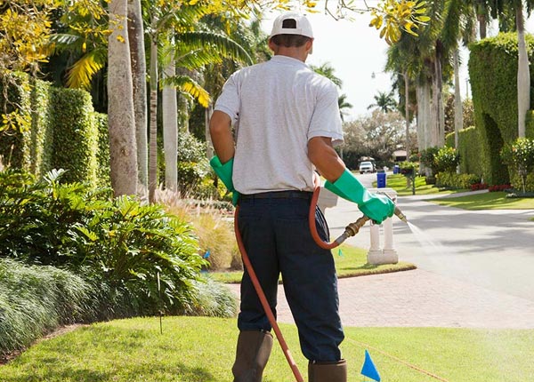 About Irwin PA Pest Control